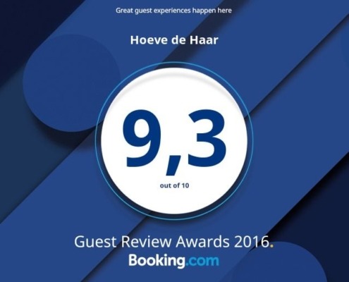 Guest-Review-Award-2016-Bookingcom